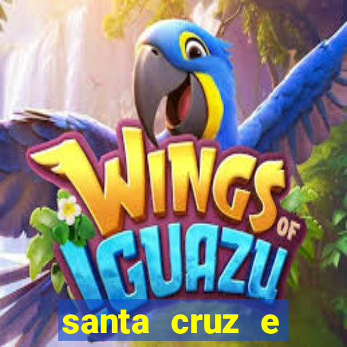 santa cruz e cruzeiro ao vivo hd